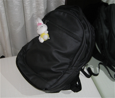 My Glamourous Work Bag