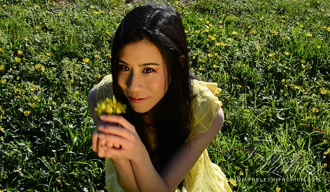 Book of Fables - Celina