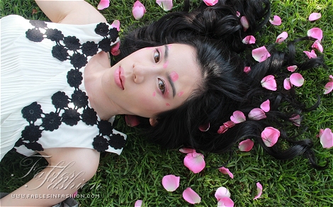 Book of Fables - Valentine Love