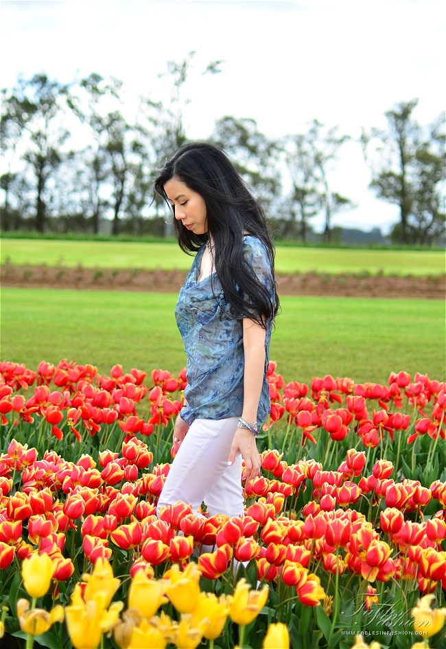 OOTD ~ Day of Tulips