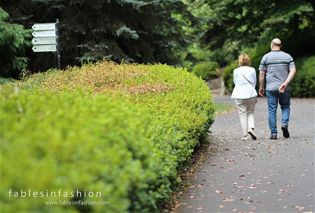 Imagery ~ Rhododendron Gardens