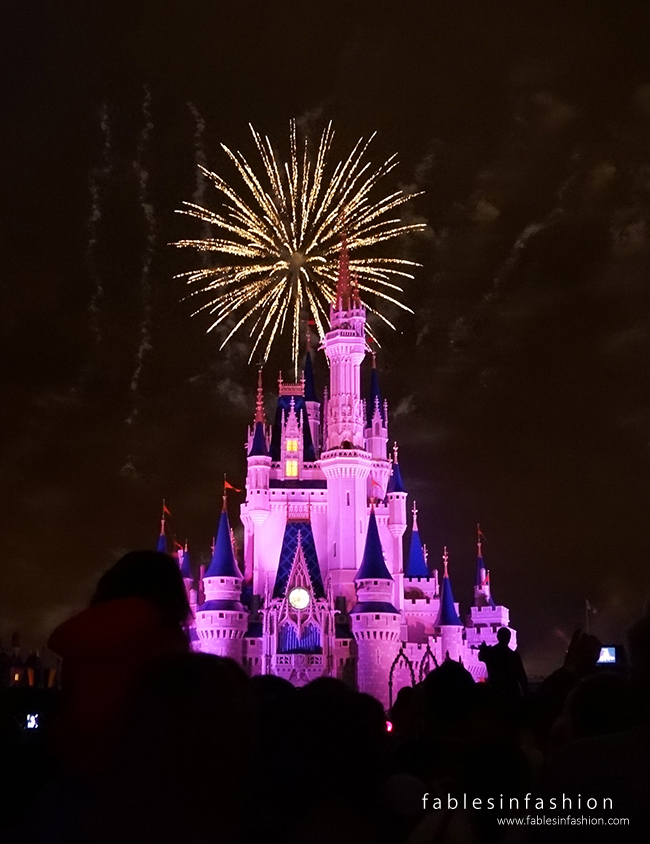 Imagery ~ Orlando Disney World