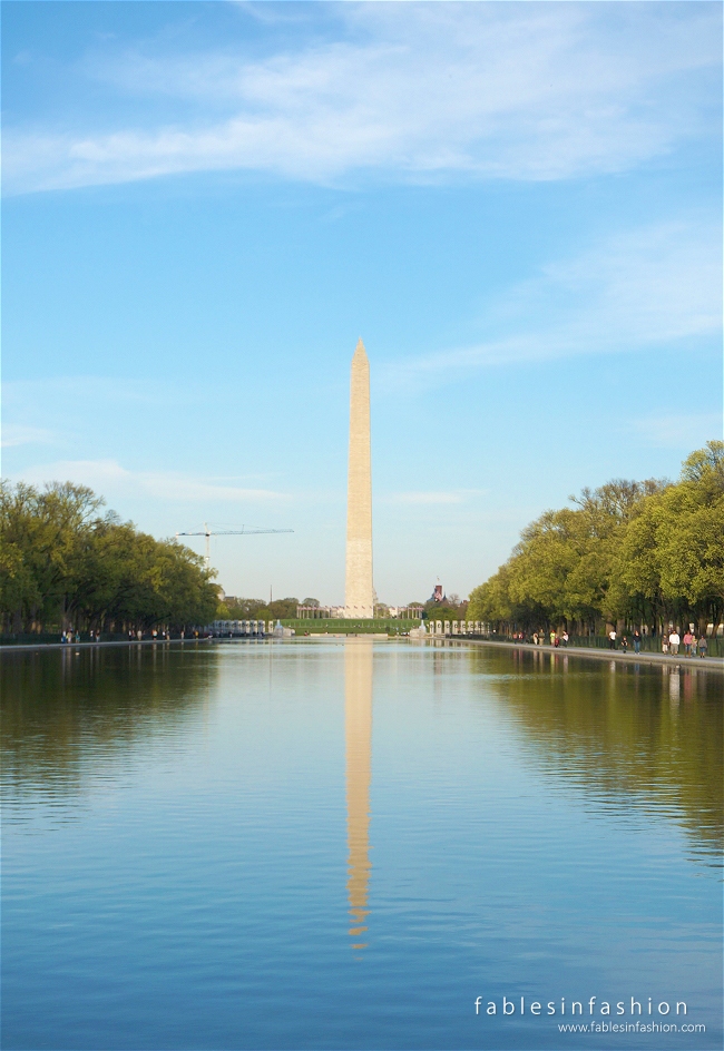 Imagery ~ Washington DC + Smithsonian