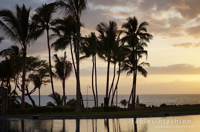 Book of Fables: Chapter 111 – Maui Tropical Sunset