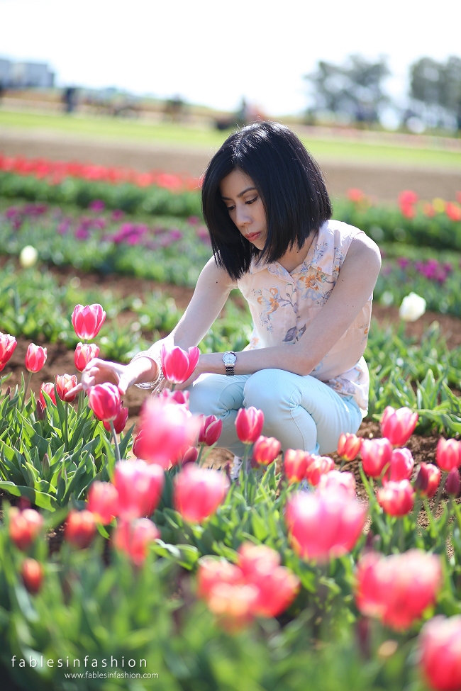 OOTD ~ Tesselaar Tulip Festival 2014