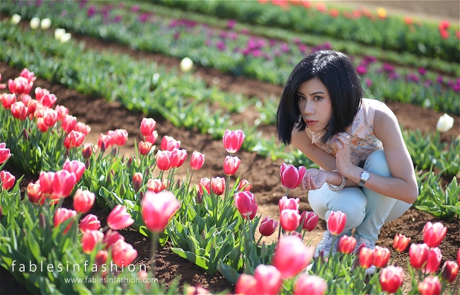 Tesselaar Tulip Festival 2014