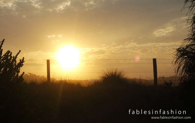 An Apocalyptic Sunrise