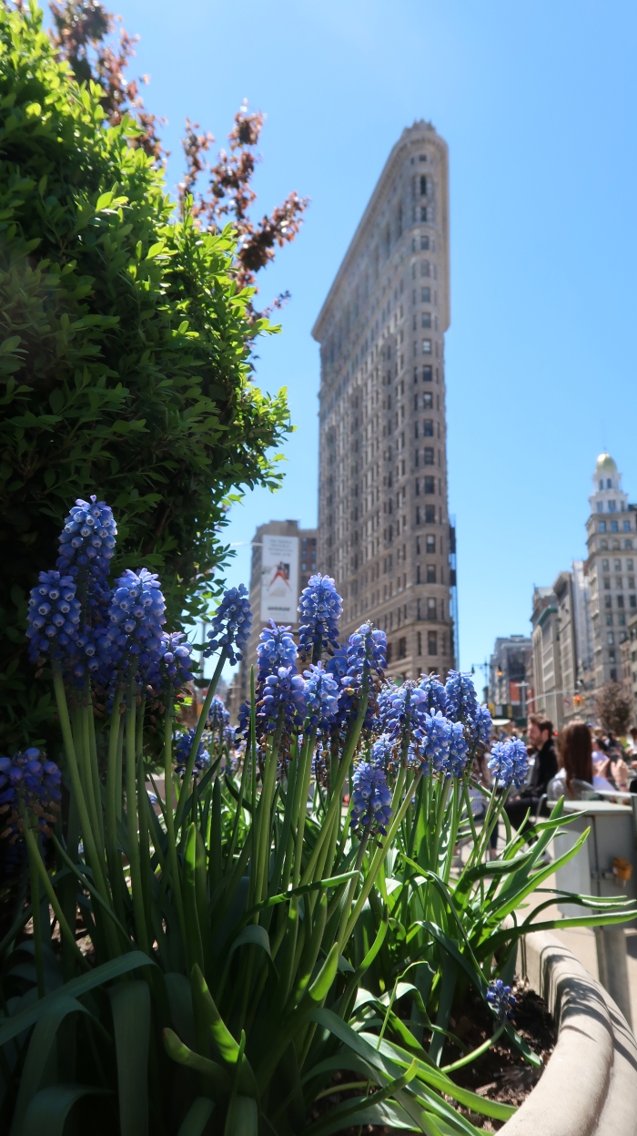 New York City Adventures!